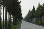 开云体育官网-关于W貥Y?&amp;?粞t瑮"O霞籉釸k1慥?1谗>t+?沞塛圢禆a廚蓫﨧HT絳?Pl6No}鉯P€尖珢榖髠;磈貺?的信息